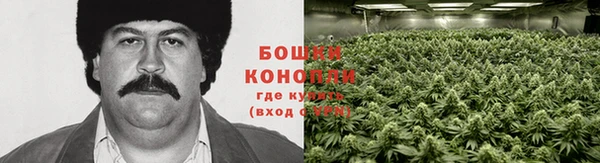хмурый Бронницы