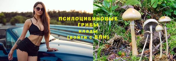 герыч Бородино